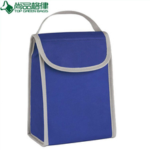 Small Cute Polyester Insulated Cooler Lunch Bag (TP-CB343)